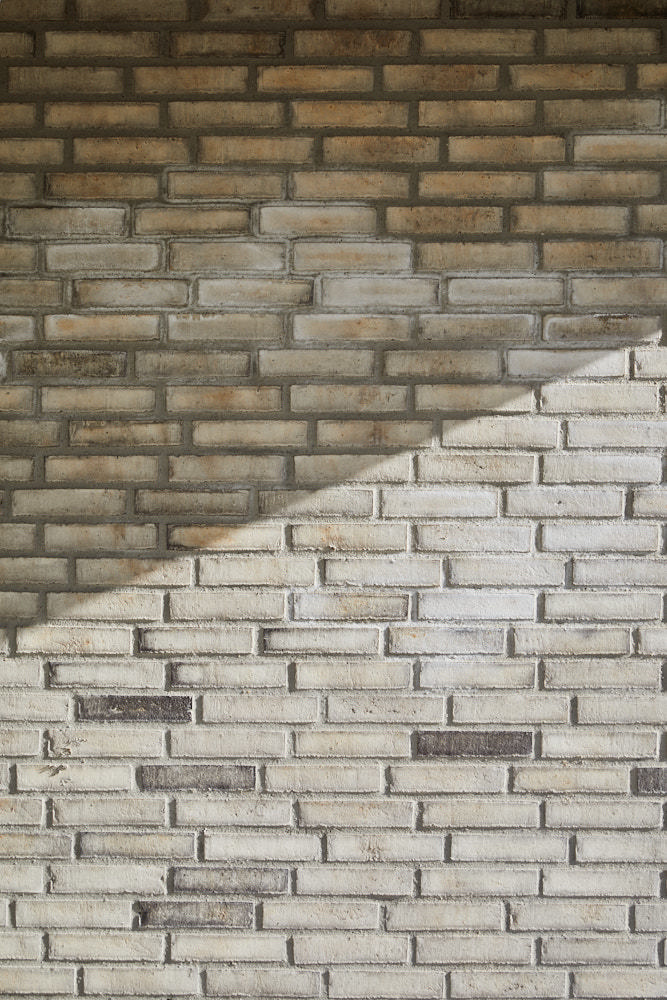 Galleri  6